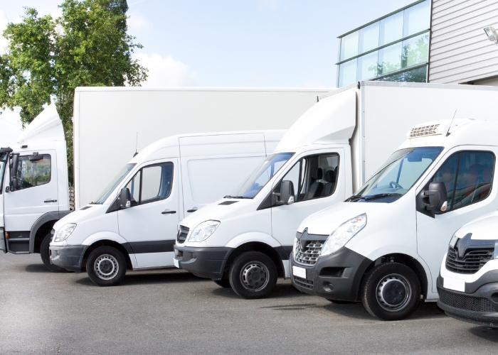 fleet of white vehicles